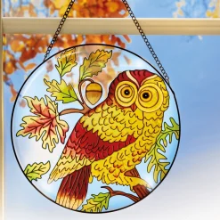 Best Tempsl Vitrail chouette