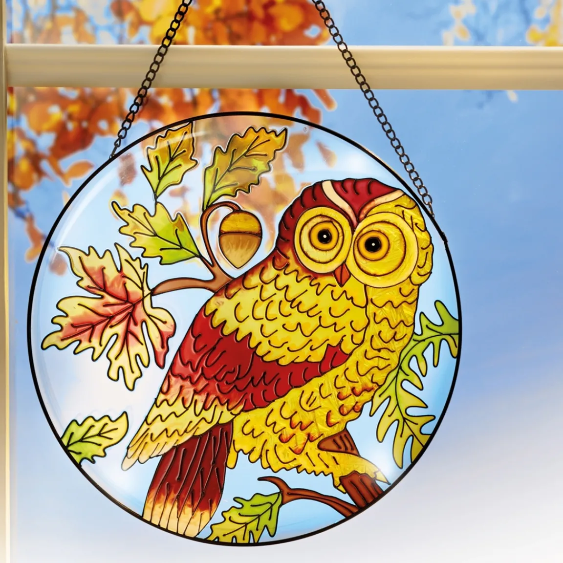 Best Tempsl Vitrail chouette